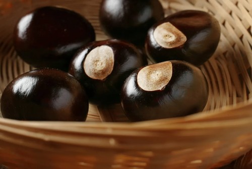 Premium buckeye - premium,